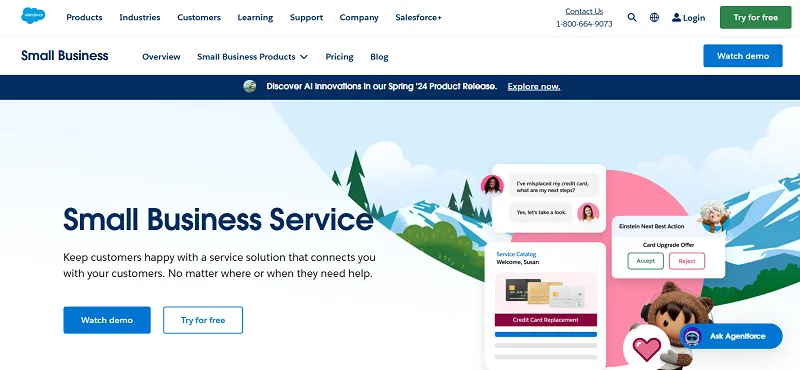 Salesforce Service Cloud screenshot